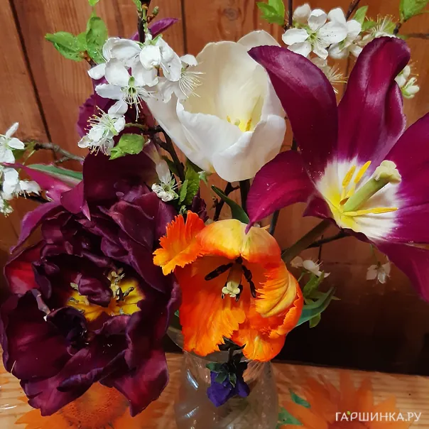 превью изображения отзыва