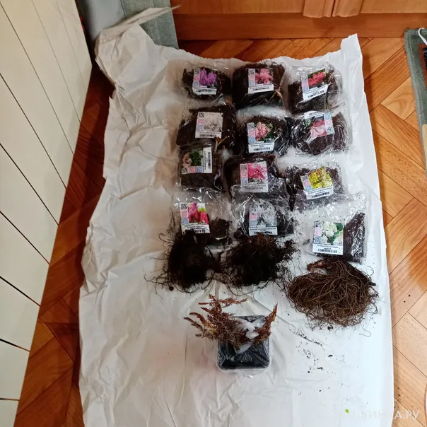 превью изображения отзыва