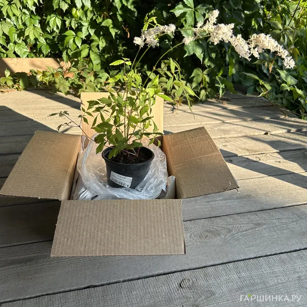 превью изображения отзыва