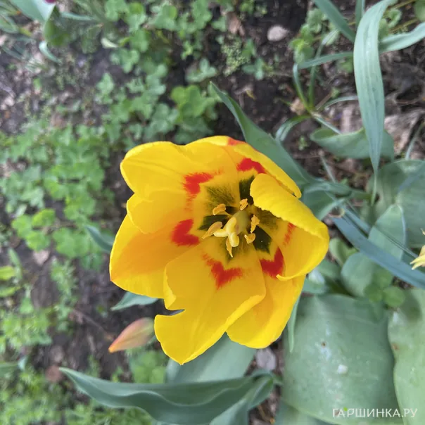 превью изображения отзыва