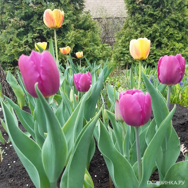 превью изображения отзыва