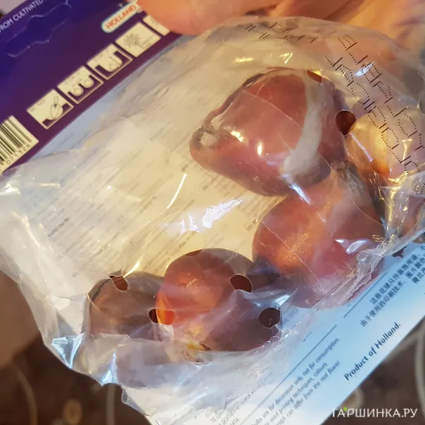 превью изображения отзыва