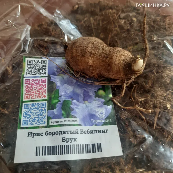 превью изображения отзыва