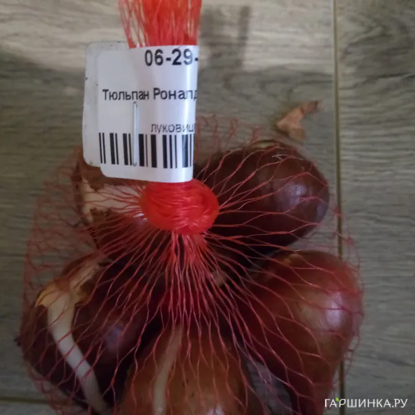 превью изображения отзыва