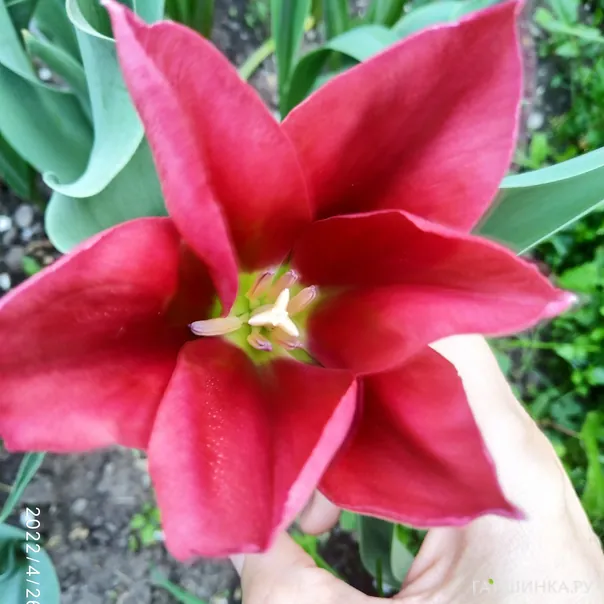 превью изображения отзыва