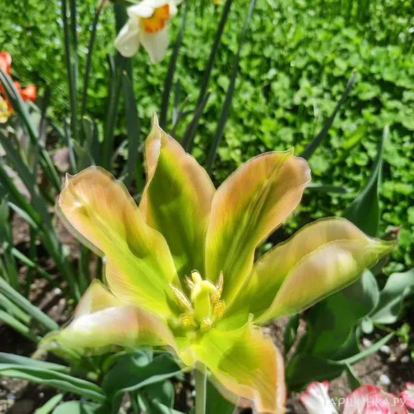 превью изображения отзыва