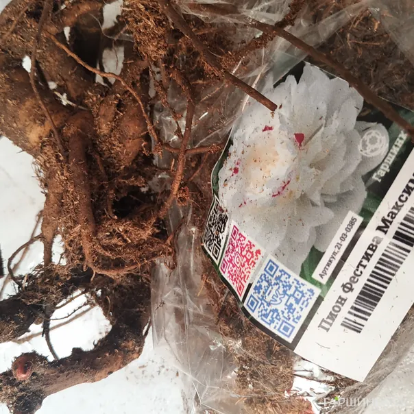 превью изображения отзыва