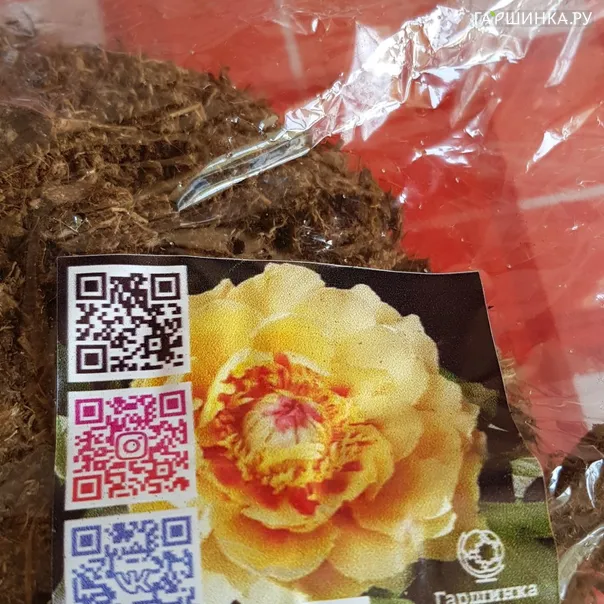 превью изображения отзыва