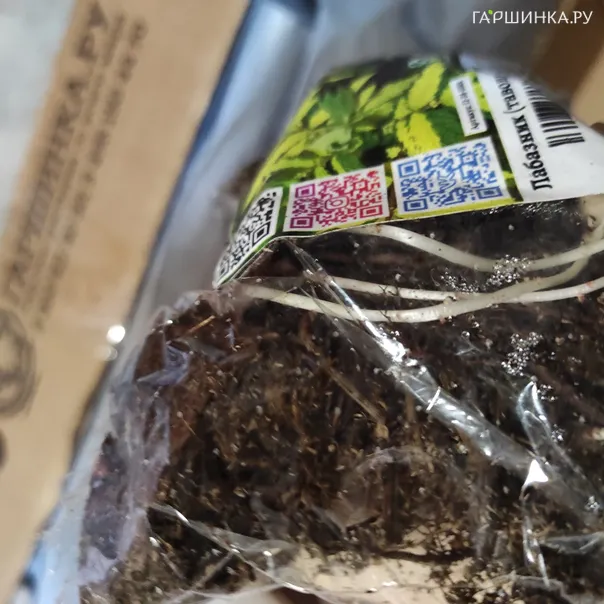 превью изображения отзыва