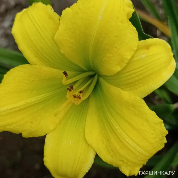 превью изображения отзыва