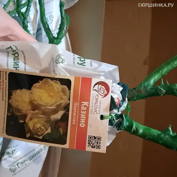 превью изображения отзыва