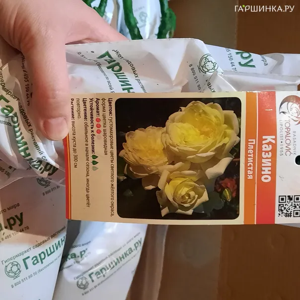 превью изображения отзыва