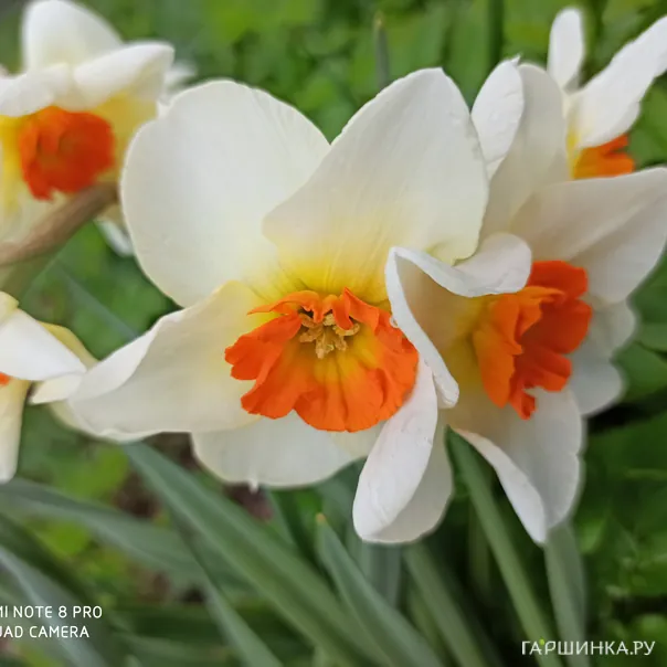 превью изображения отзыва