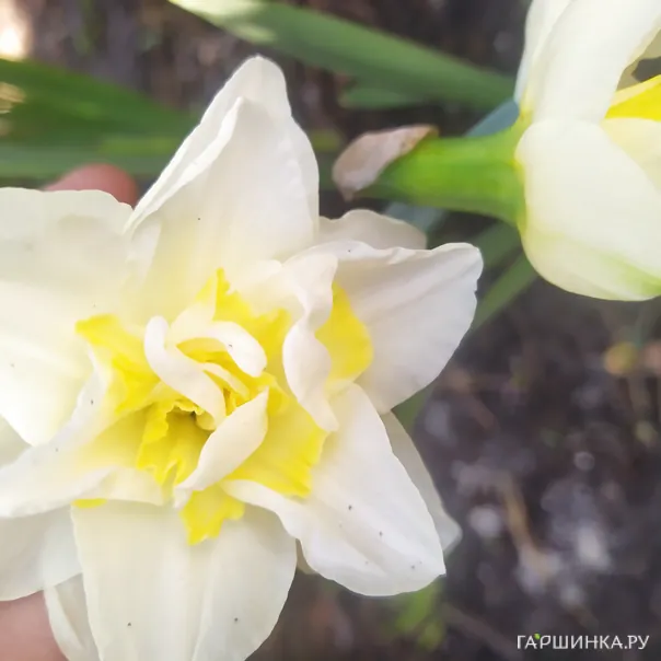 превью изображения отзыва