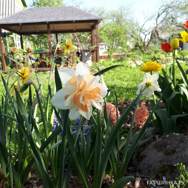 превью изображения отзыва