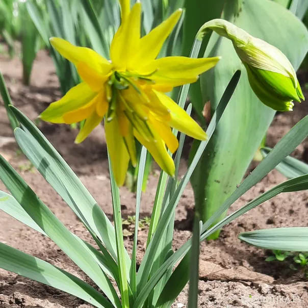 превью изображения отзыва