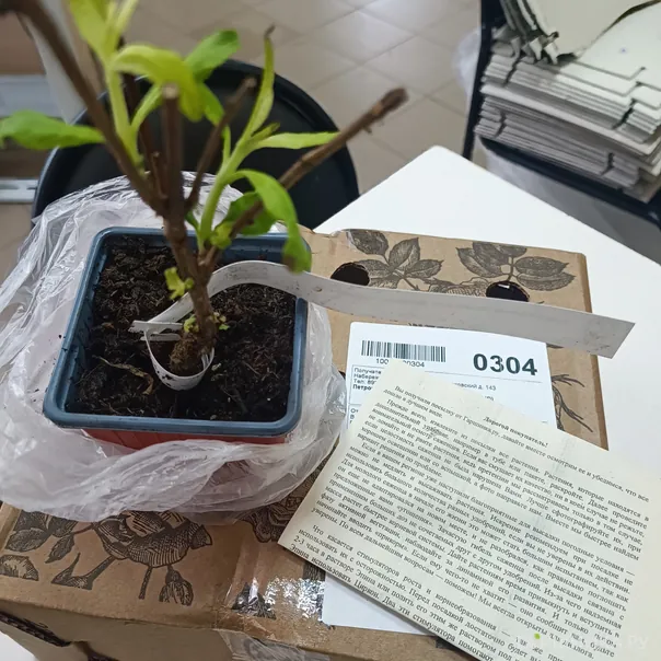 превью изображения отзыва