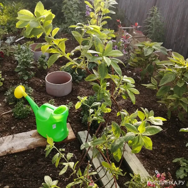 превью изображения отзыва