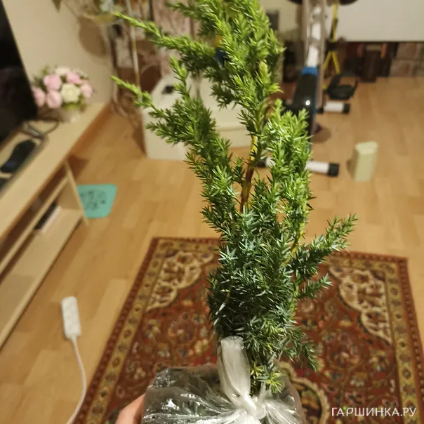 превью изображения отзыва