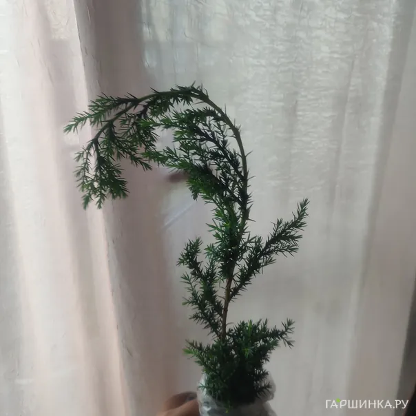 превью изображения отзыва