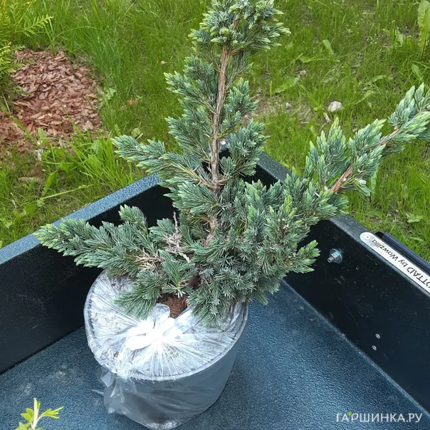 превью изображения отзыва