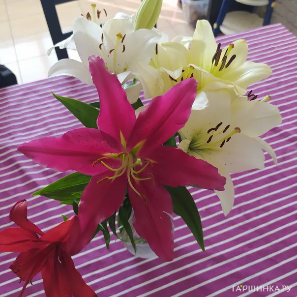 превью изображения отзыва