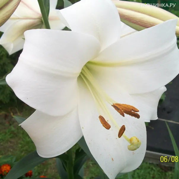 превью изображения отзыва