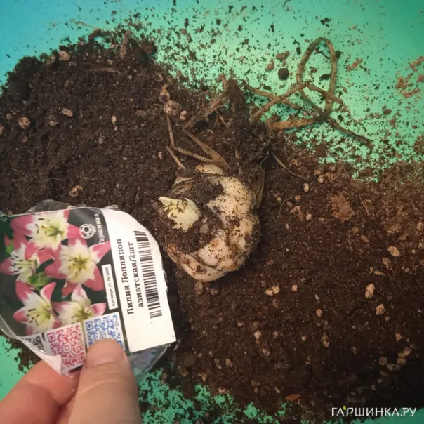 превью изображения отзыва