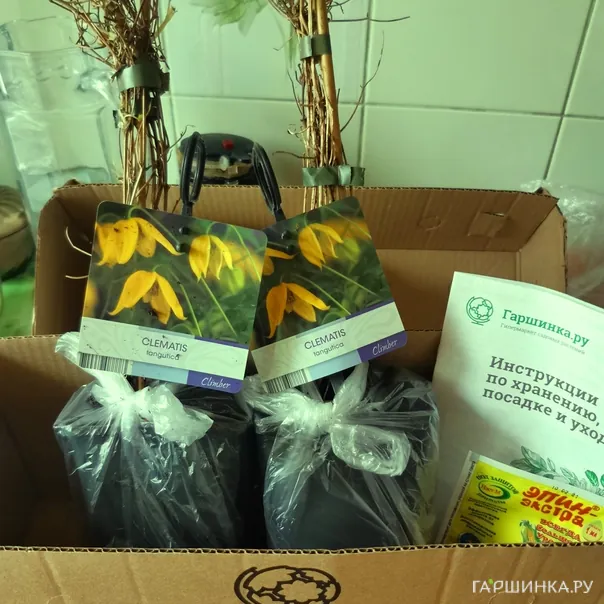 превью изображения отзыва