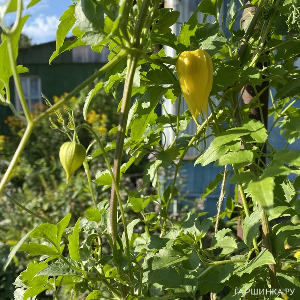 превью изображения отзыва