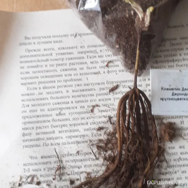 превью изображения отзыва