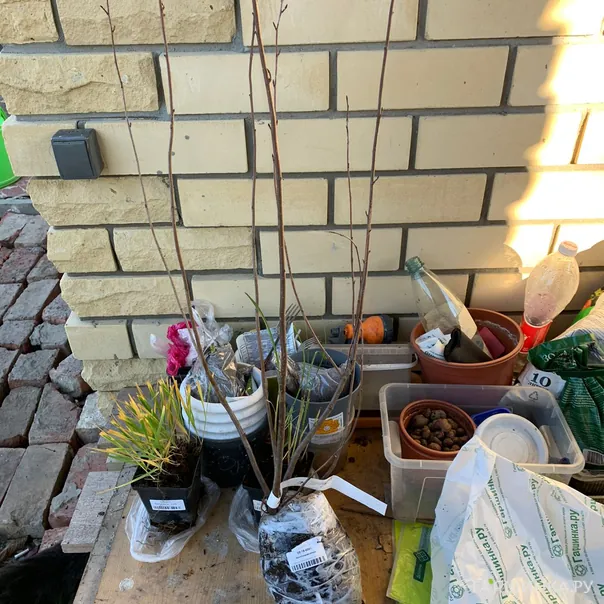 превью изображения отзыва