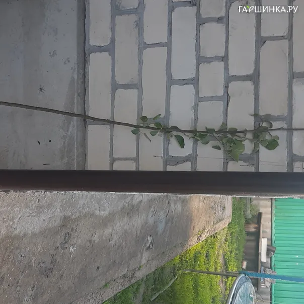 превью изображения отзыва