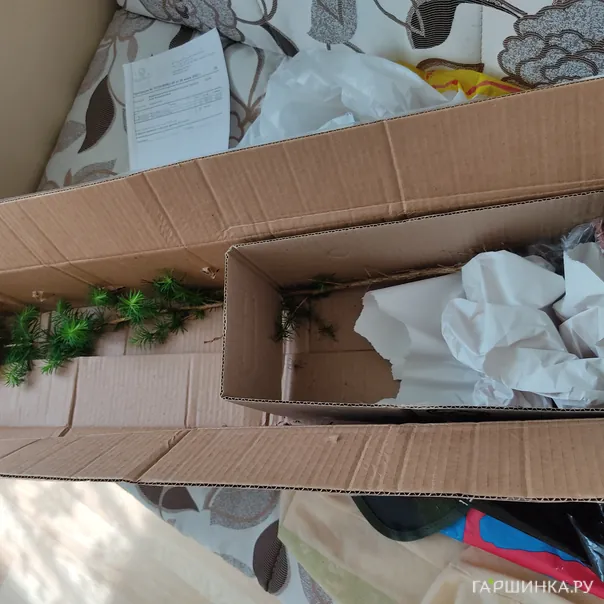 превью изображения отзыва