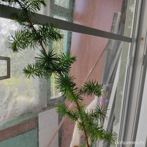 превью изображения отзыва