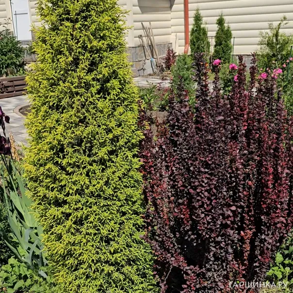 превью изображения отзыва