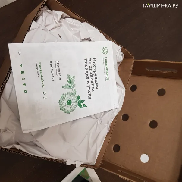 превью изображения отзыва