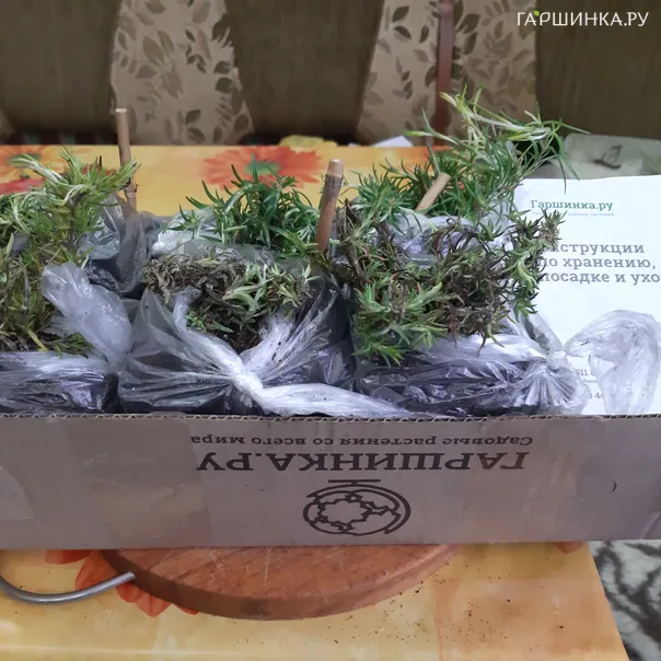 превью изображения отзыва