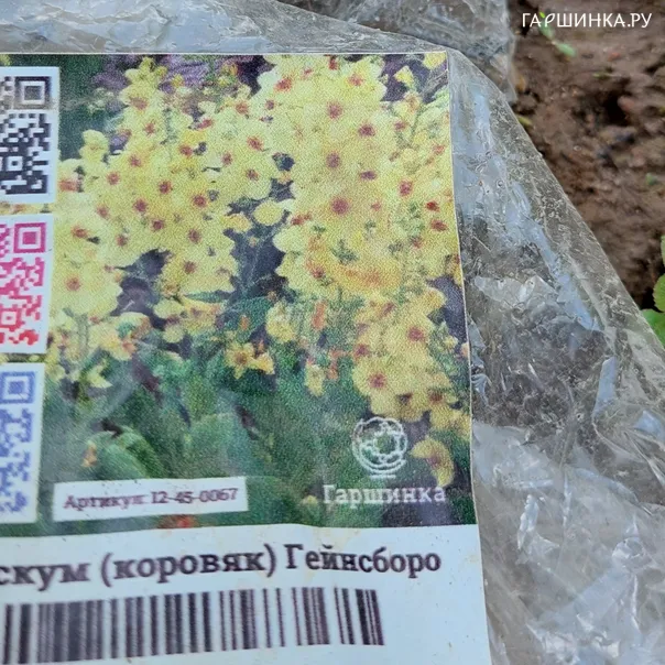 превью изображения отзыва