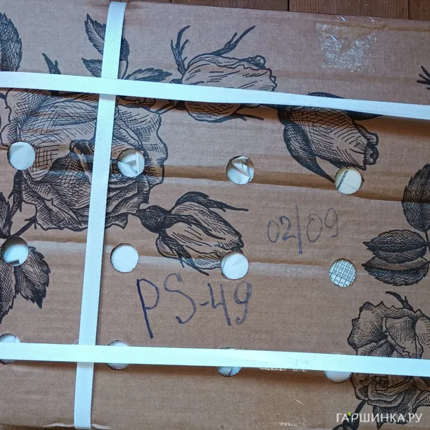 превью изображения отзыва