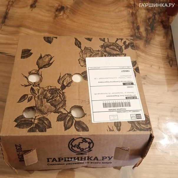 превью изображения отзыва