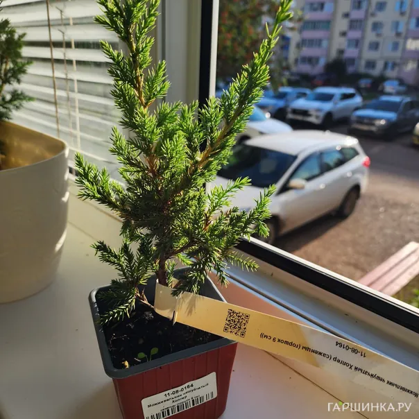 превью изображения отзыва