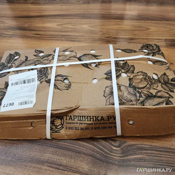 превью изображения отзыва