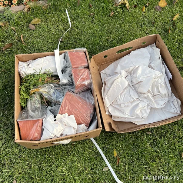 превью изображения отзыва