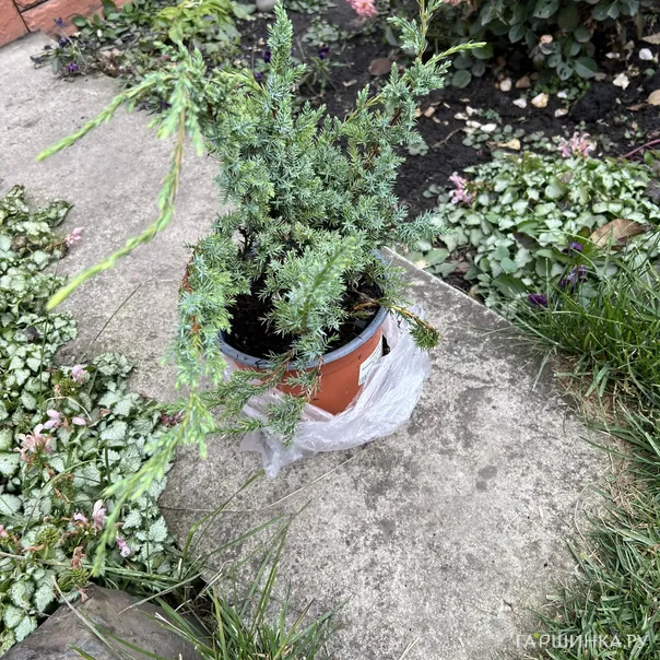 превью изображения отзыва