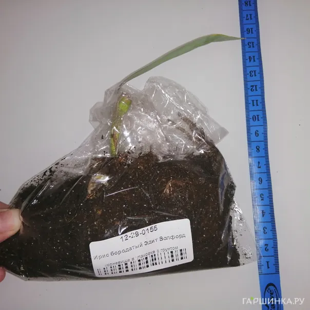 превью изображения отзыва