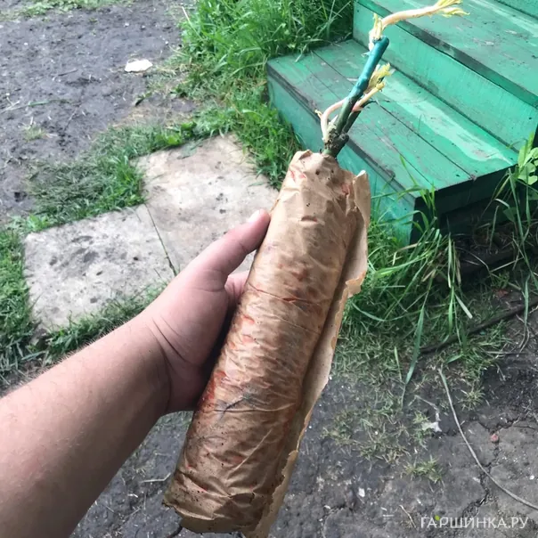 превью изображения отзыва