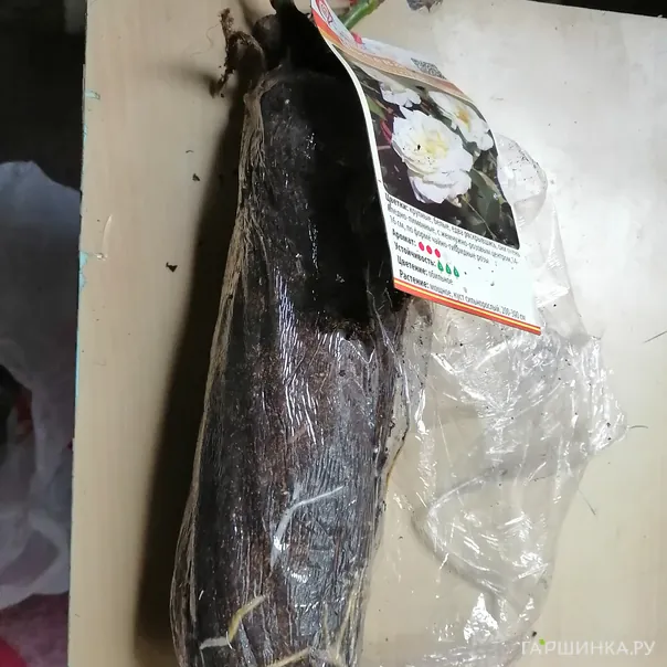 превью изображения отзыва