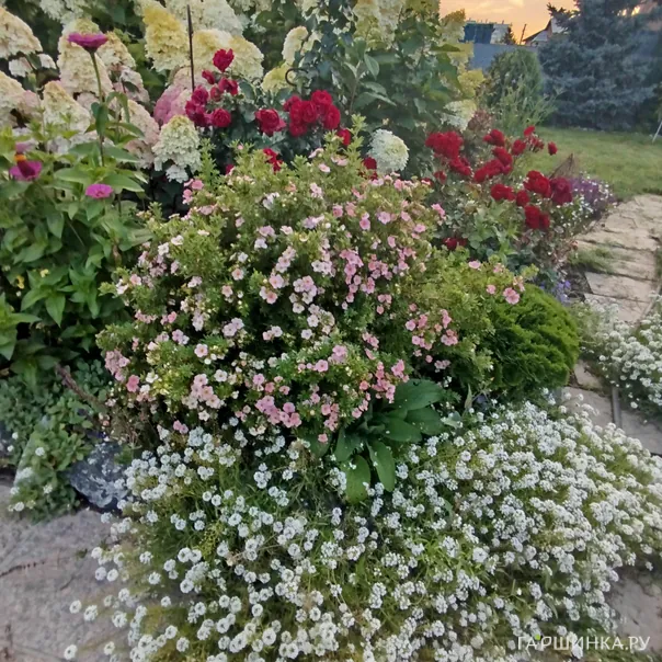 превью изображения отзыва