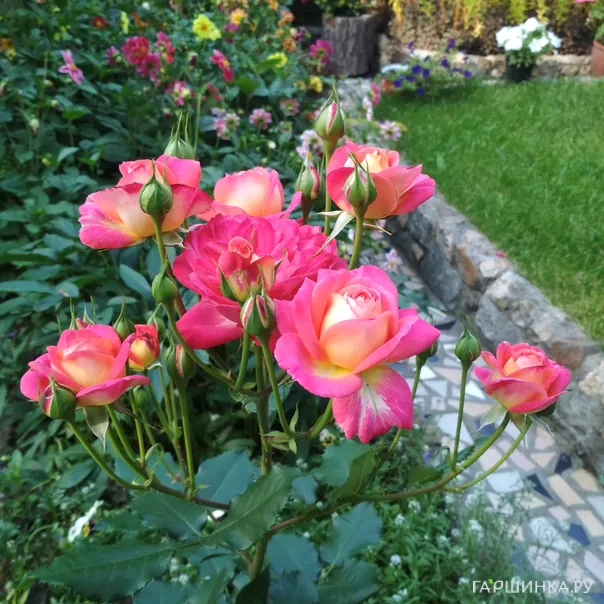 превью изображения отзыва